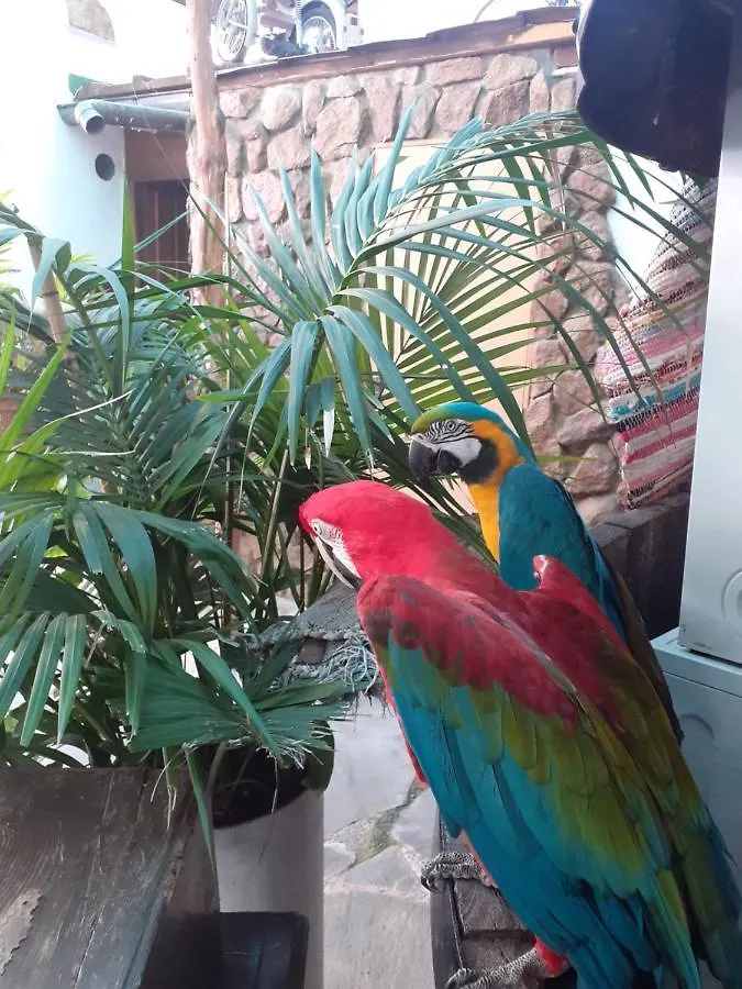 La Piedra Viva Agueimes , Siete Hermanos 2*, Agüimes