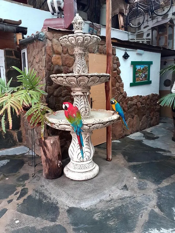 La Piedra Viva Agueimes , Siete Hermanos Gasthuis