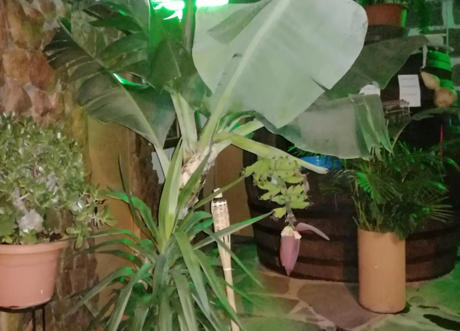 ** Gasthuis La Piedra Viva Agueimes , Siete Hermanos Spanje